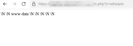 Web Shell